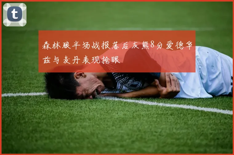 森林狼半场战报落后灰熊8分爱德华兹与麦丹表现抢眼