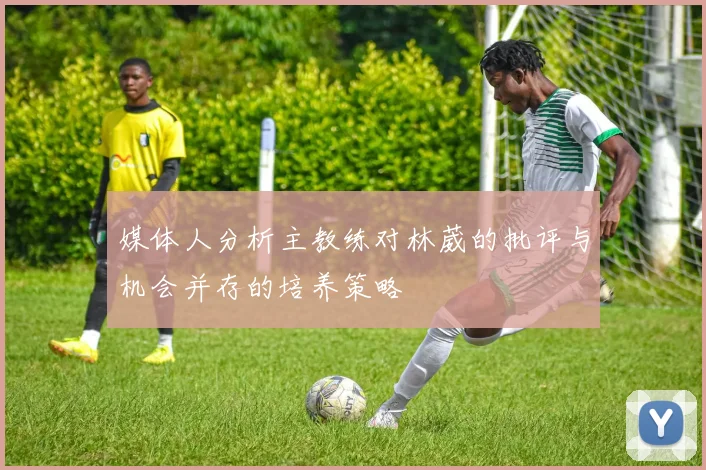 媒体人分析主教练对林葳的批评与机会并存的培养策略