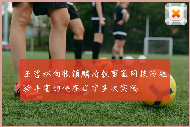 王哲林向张镇麟请教剪篮网技巧经验丰富的他在辽宁多次实践