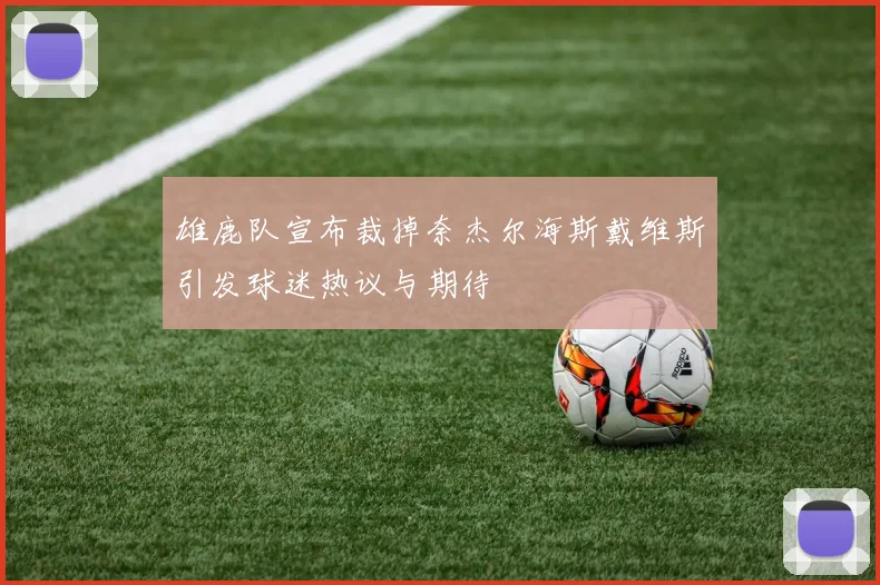 雄鹿队宣布裁掉奈杰尔海斯戴维斯引发球迷热议与期待